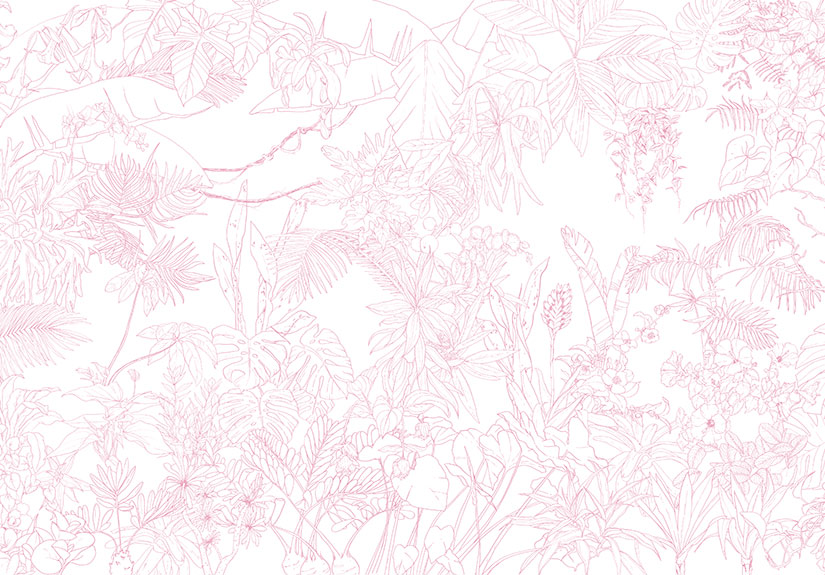 Papier peint Jungle Tropical Rose Panoramique